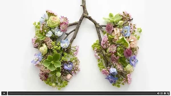 Video ademhalingstechniek screenshot